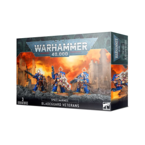 Miniaturi Space Marines Bladeguard Veterans