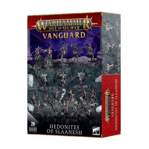 Pachet 20 Miniaturi WhAOS, GW, Vanguard Hedonites of Slaanesh